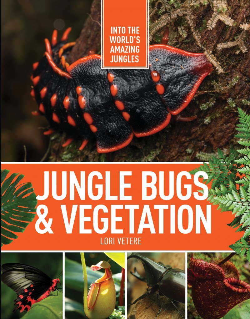 Jungle Bugs & Vegetation