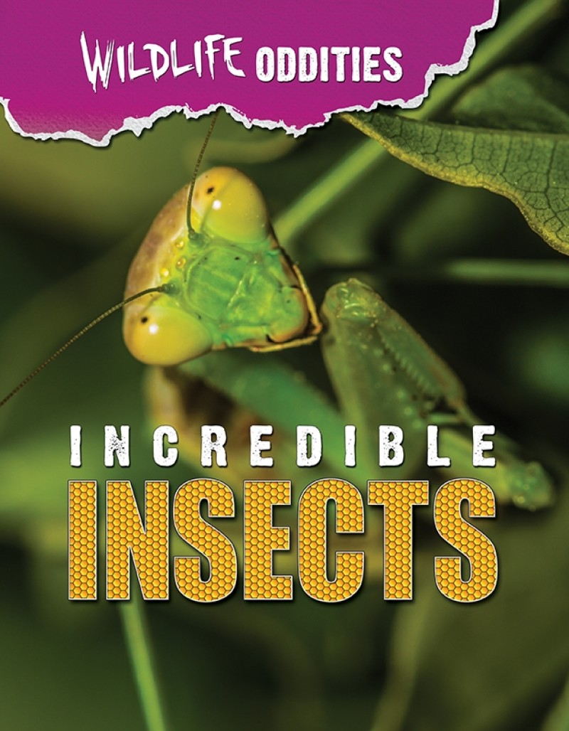 Incredible Insects