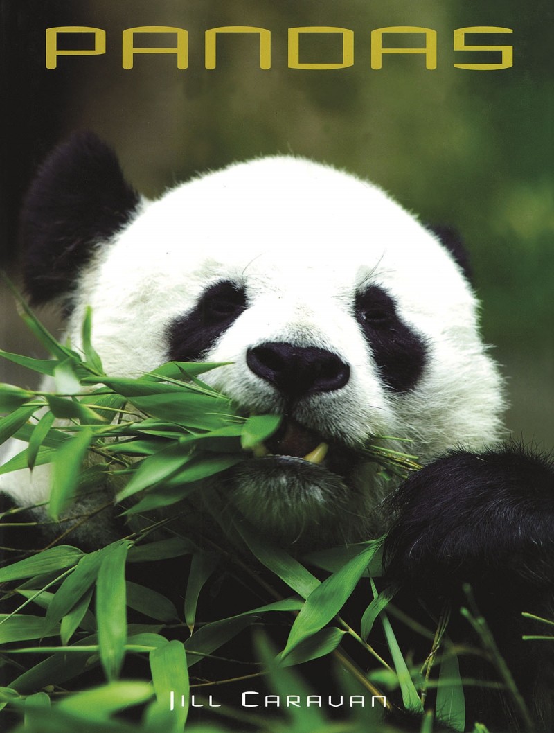 Pandas
