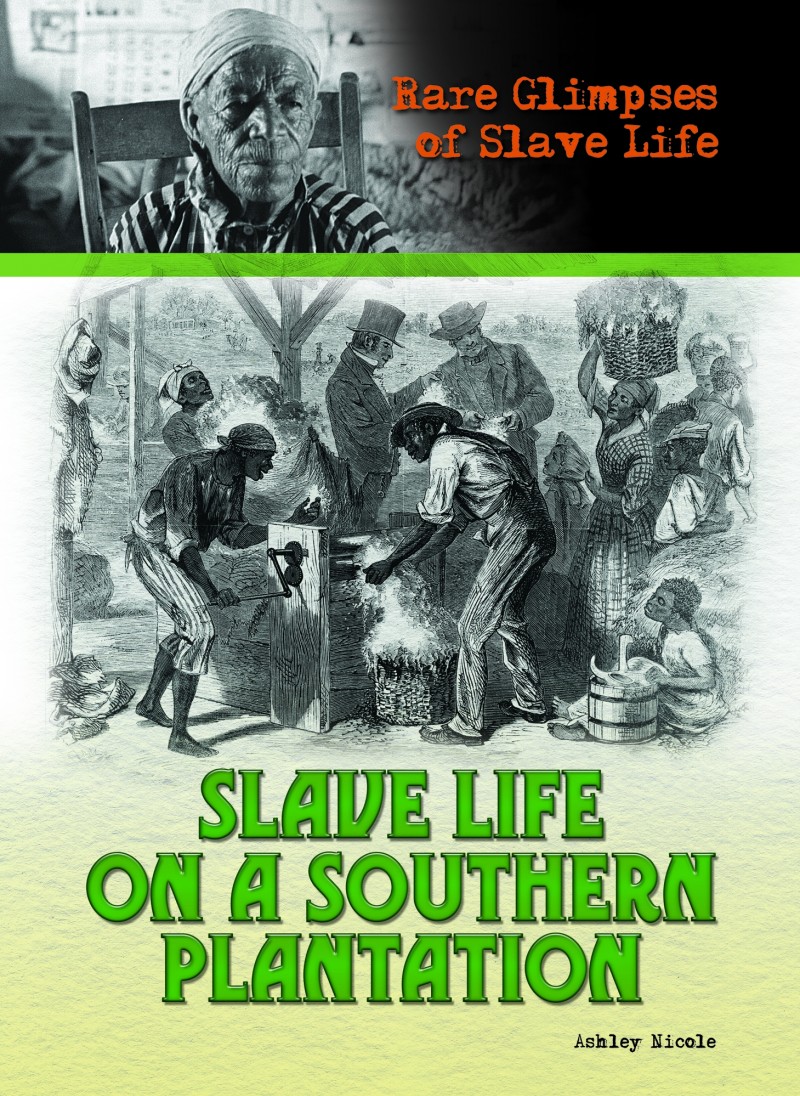 Slave Life on a Southern Plantation