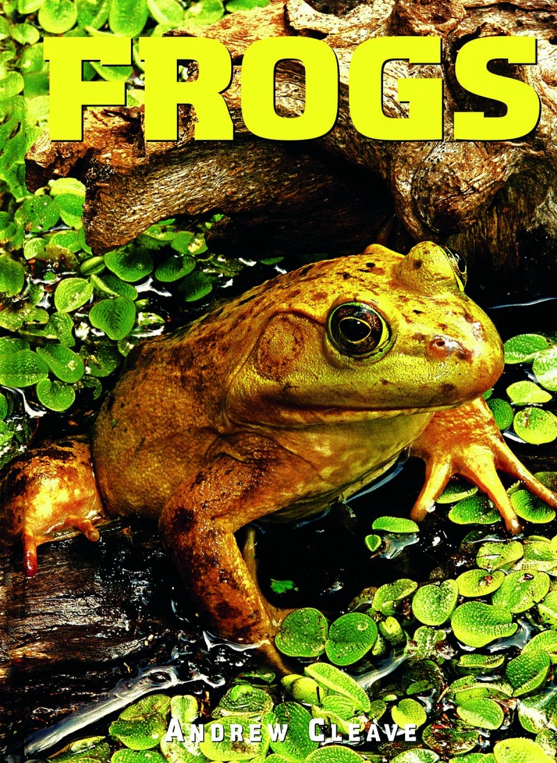 Frogs