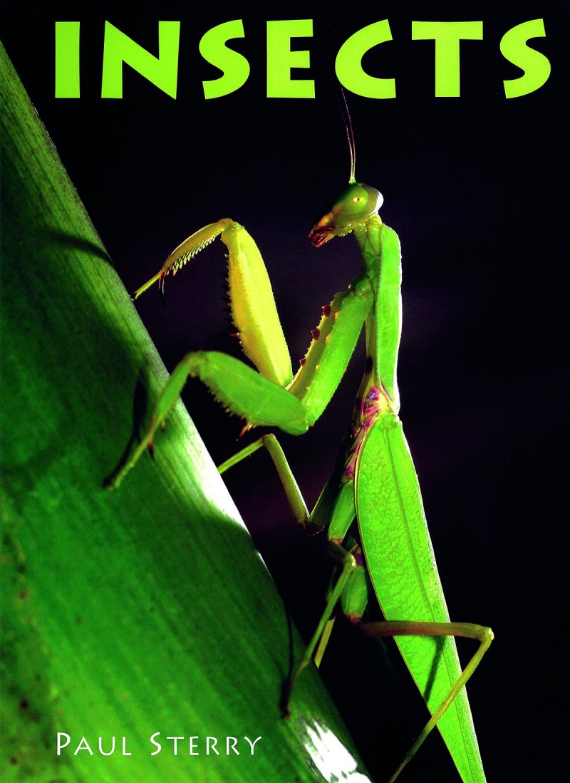 Insects
